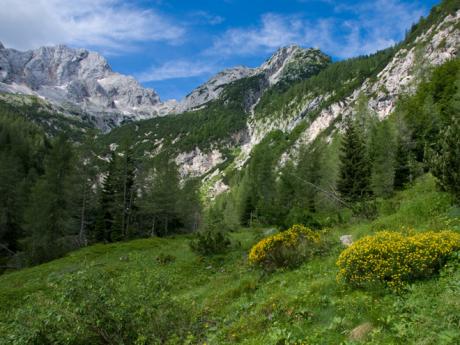 Planina Zapotok vyniká ničím nenarušenou přírodou