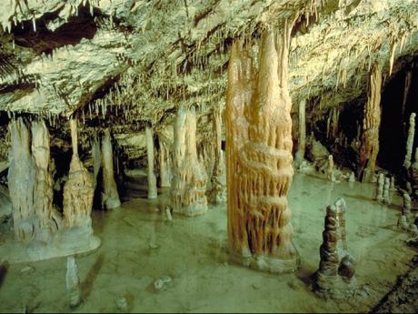 Škocjanské jeskyně jsou součástí slovinského Krasu