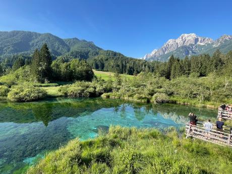 Přírodní rezervace Zelenci leží u Kranjské Gory