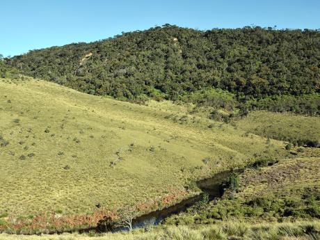 Národní park Horton Plains tvoří otevřené pláně, lesy, jezera a skalnaté výběžky