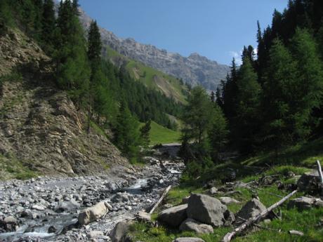 Potok ve Švýcarském národním parku
