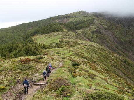 Pozvolný výstup na Pico da Vara, nejvyšší horu ostrova São Miguel