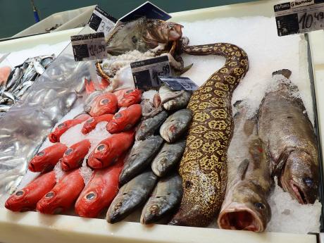 I takovéto potvory můžete vidět na azorském rybím trhu