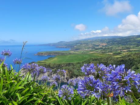 Kvetoucí kalokvěty a pohled na severní pobřeží ostrova z mysu Santa Íria