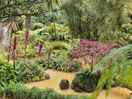 Botanická zahrada Terra Nostra s bohatou exotickou vegetací