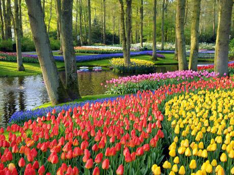 Květinový park Keukenhof je největší v Nizozemsku i celé Evropě
