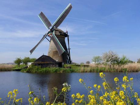 Větrné mlýny byly využívány k odčerpávání vody z tzv. polderů