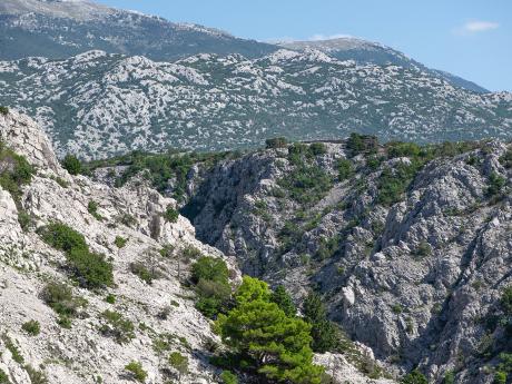 Národní park Paklenica v pohoří Velebit je tvořený dvěma krasovými kaňony