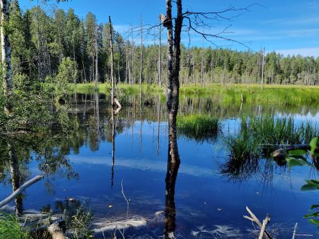 Kouzelnou finskou krajinu tvoří hlavně jezera a okolní lesy