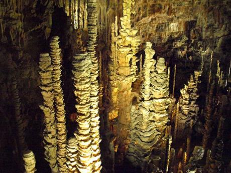 Jeskyně Aven Armand je známá lesem stalagmitů vysokých až 30 m
