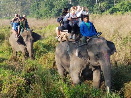 Netradičním zážitkem je pro mnohé určitě ranní vyjížďka na slonech
