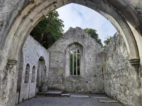 Muckross Abbey se nachází v národním parku Killarney