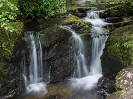 V NP Killarney najdete několik říček i vodopádů