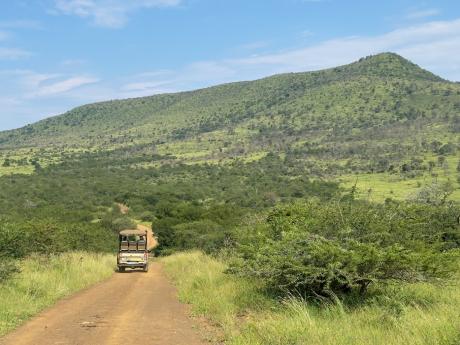 Safari v NP Hluhluwe-iMfolozi je nezapomenutelný zážitek