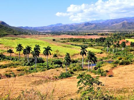 Údolí Valle de los Ingenios, kde se v minulosti pěstovala cukrová třtina