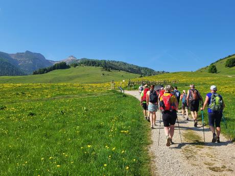 Rozkvetlá louka během výstupu na vrchol Monte Altissimo di Nago