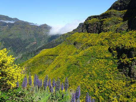 Madeiře se ne nadarmo přezdívá "ostrov věčného jara"