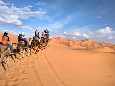 Fakultativní jízda na velbloudech do pouště