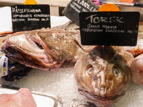 Čerstvé ryby jsou v Norsku velmi oblíbené