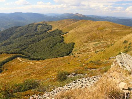 Hřebenová cesta Bukowskou poloninou vede až na nejvyšší horu Tarnica