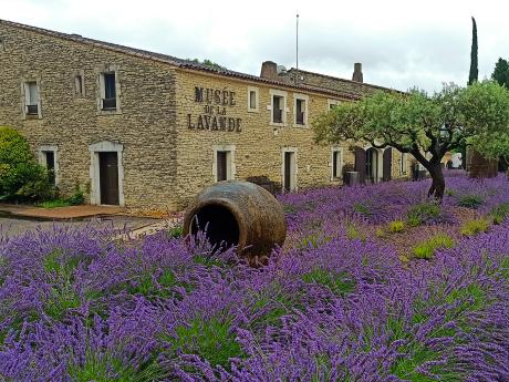 Muzeum levandule sídlí v tradiční kamenné provensálské budově