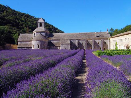Sénanque je nejznámější cisterciácký klášter v Provence