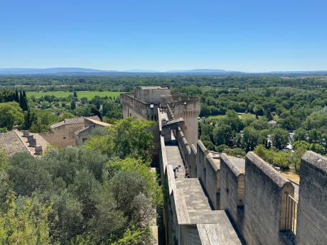 Z hradeb středověké pevnosti Fort St. André je výhled do širokého okolí