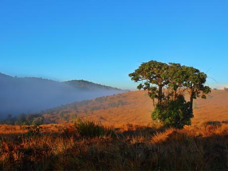 Národní park Horton Plains je zvláštní mystickou krajinou