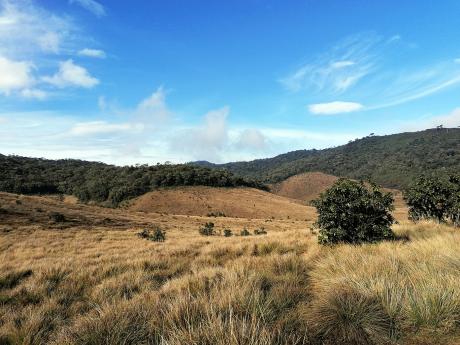 Zvlněná náhorní planina Horton Plains se nachází ve výšce přes 2 000 metrů