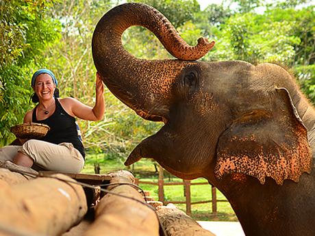 Bližší seznámení se slony je zážitkem na celý život