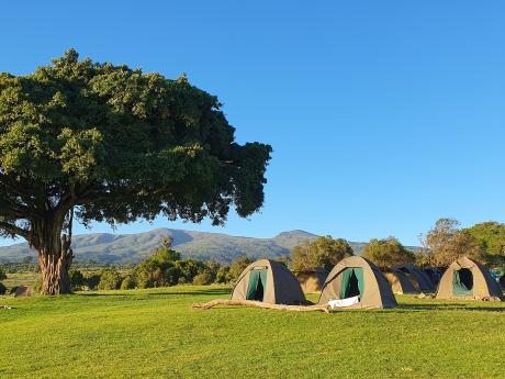 Kemp Simba nad kráterem Ngorongoro