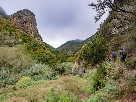 Túra v pohoří Anaga na vyhlídku Cabezo del Tejo