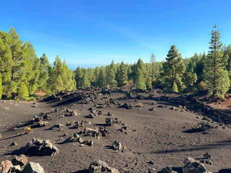 Sopečná krajina v okolí vyhaslé sopky Chinyero v NP Teide