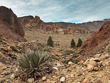 Dno obrovské kaldery Las Cañadas tvoří převážně kamenitá poušť