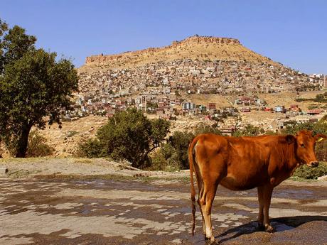 Pohled na orientální město Mardin