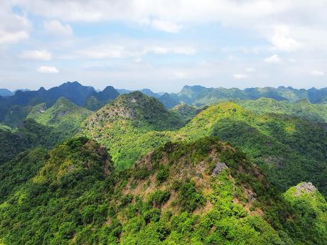 Zelený a kopcovitý národní park zabírá třetinu celého ostrova Cat Ba