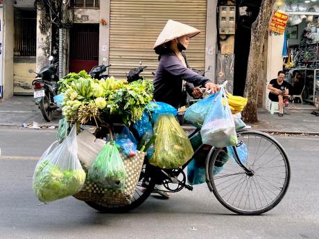 Ukázka, kolik toho uveze jedno vietnamské kolo :)